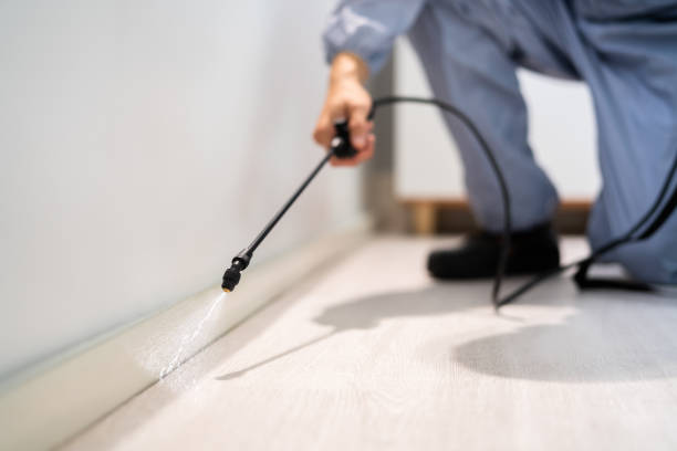 Bed Bug Pre-Treatment Preparation Assessment in Temelec
