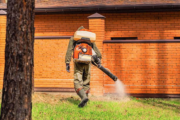 Bed Bug Clearance Verification and Documentation in Temelec